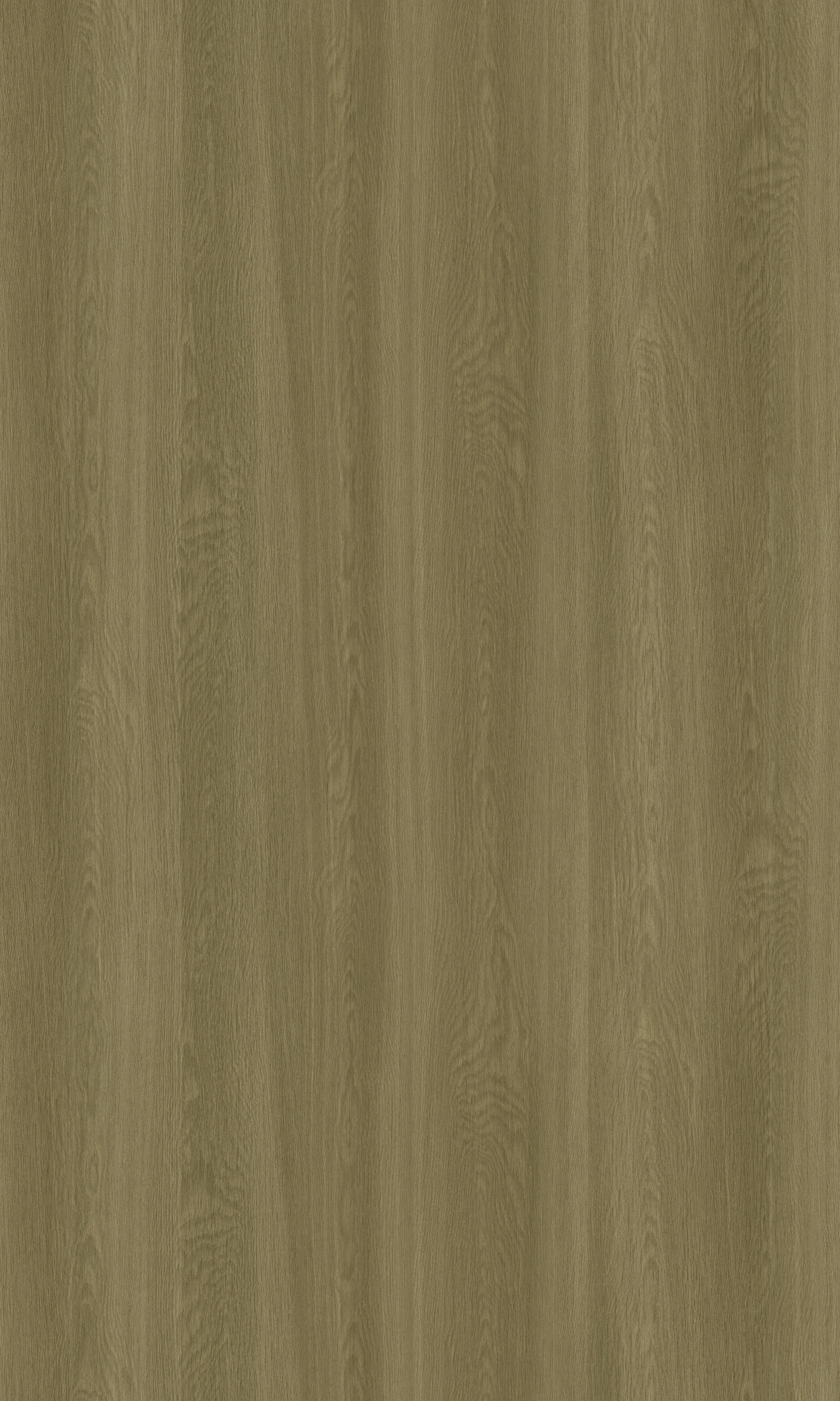 Texture wood